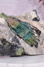 Free Standing Multicolour Tourmaline From Quebec, Canada Specimen Tali & Loz Crystals