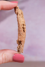 Fulgurite 30-40mm Medium - Tali & Loz Crystals