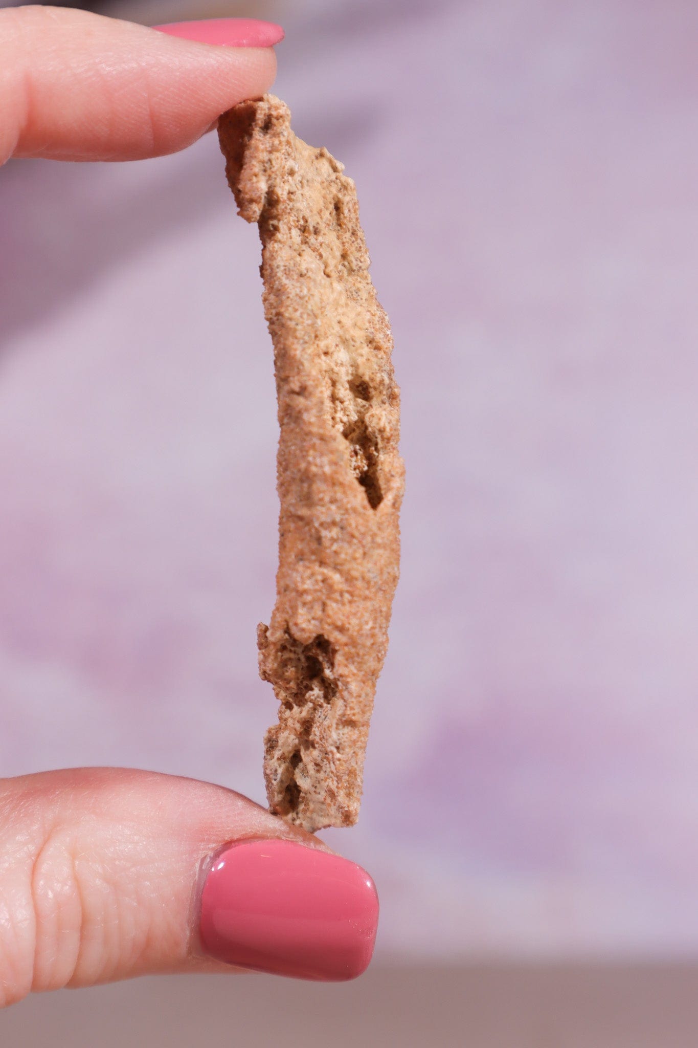 Fulgurite 30-40mm Medium - Tali & Loz Crystals