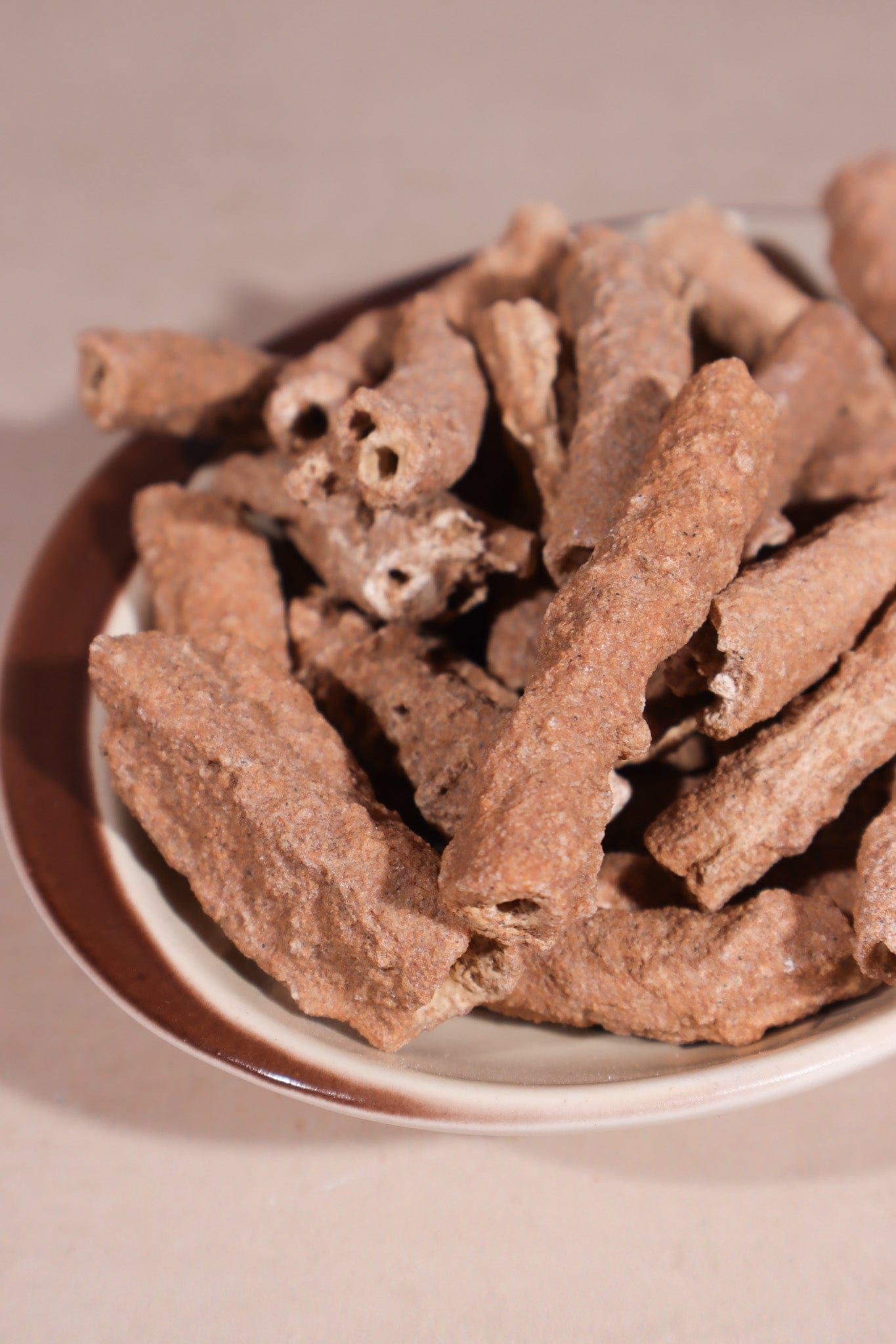 Fulgurite 50-60mm Large - Tali & Loz Crystals