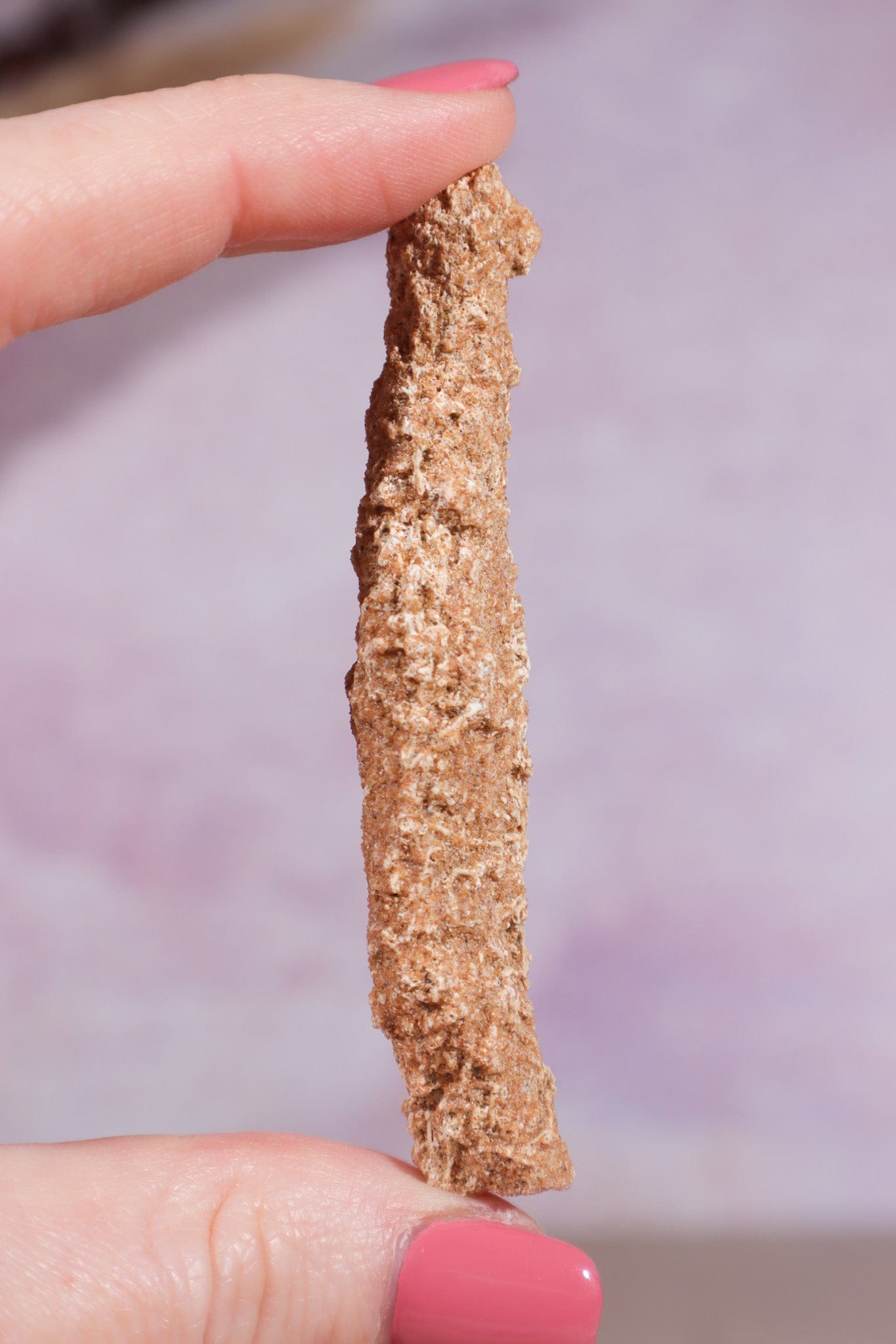 Fulgurite 50-60mm Large - Tali & Loz Crystals