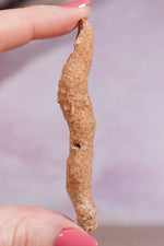 Fulgurite 50-60mm Large - Tali & Loz Crystals