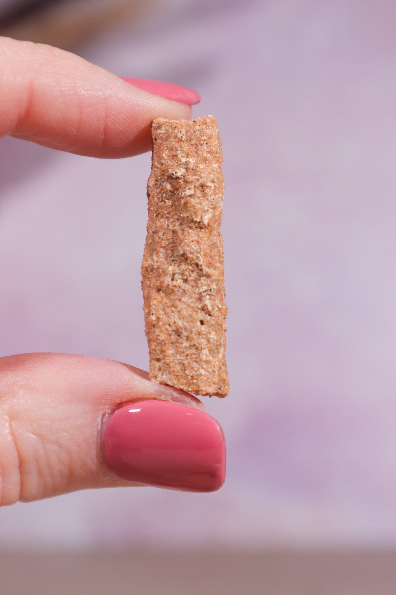 Fulgurite 20-30mm Small - Tali & Loz Crystals