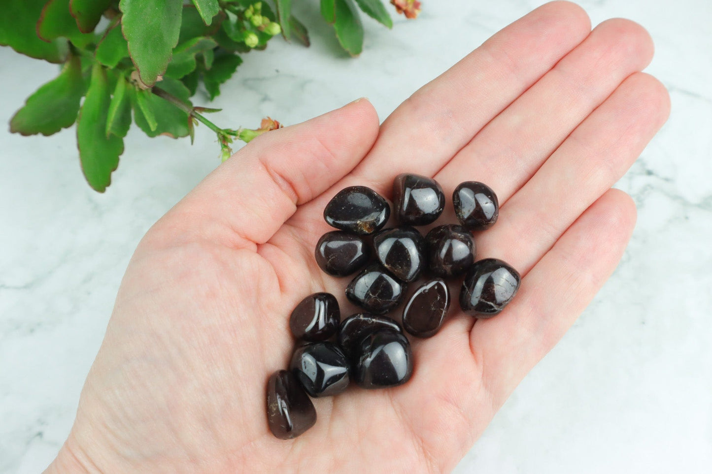 Garnet Tumblestones - Love/Energizing Tumblestones Small Tali & Loz