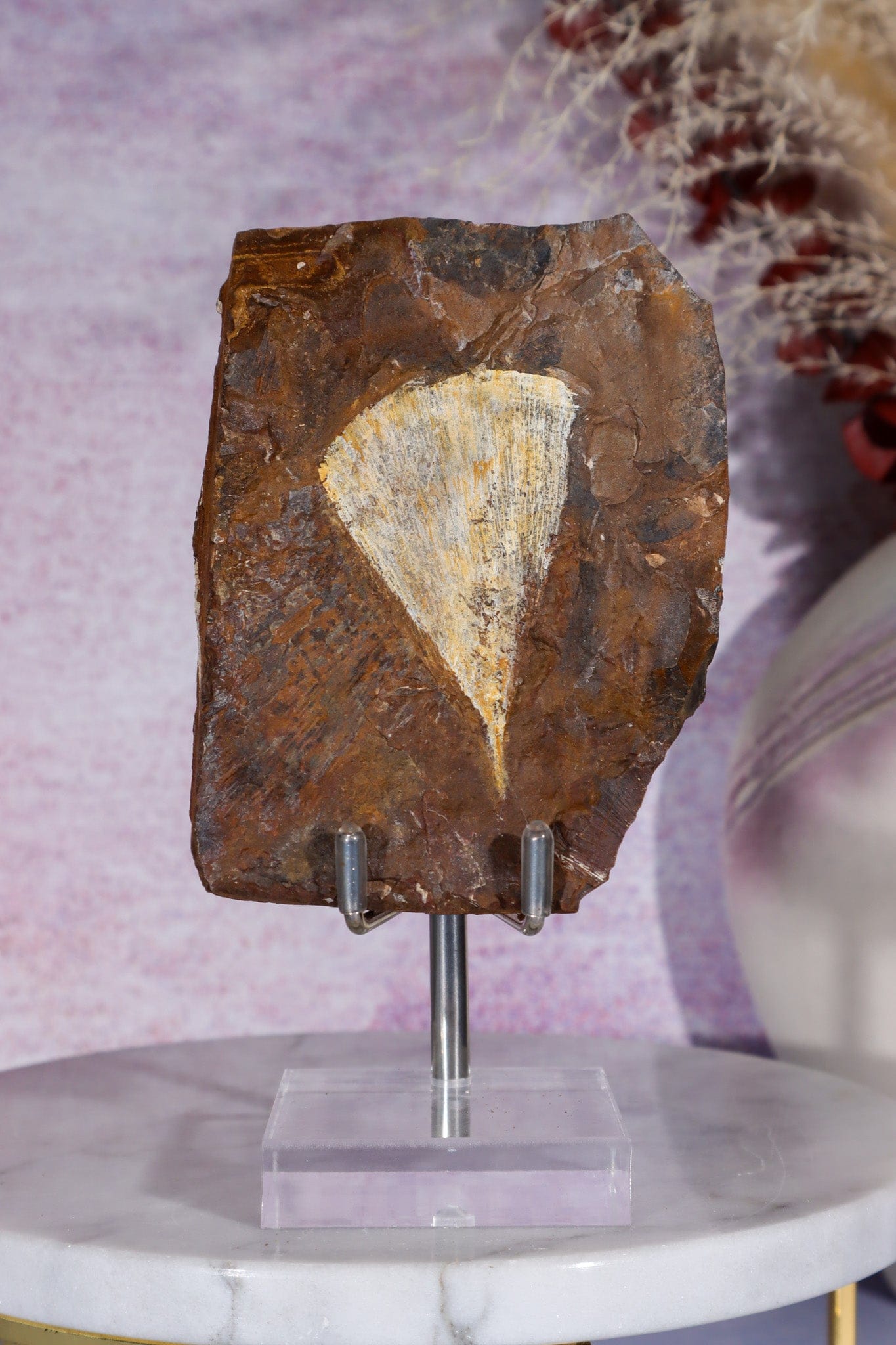 Ginkgo Leaf Fossil 10cm, North Dakota Fossil Tali & Loz Crystals