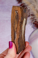 Ginkgo Leaf Fossil 10cm, North Dakota Fossil Tali & Loz Crystals