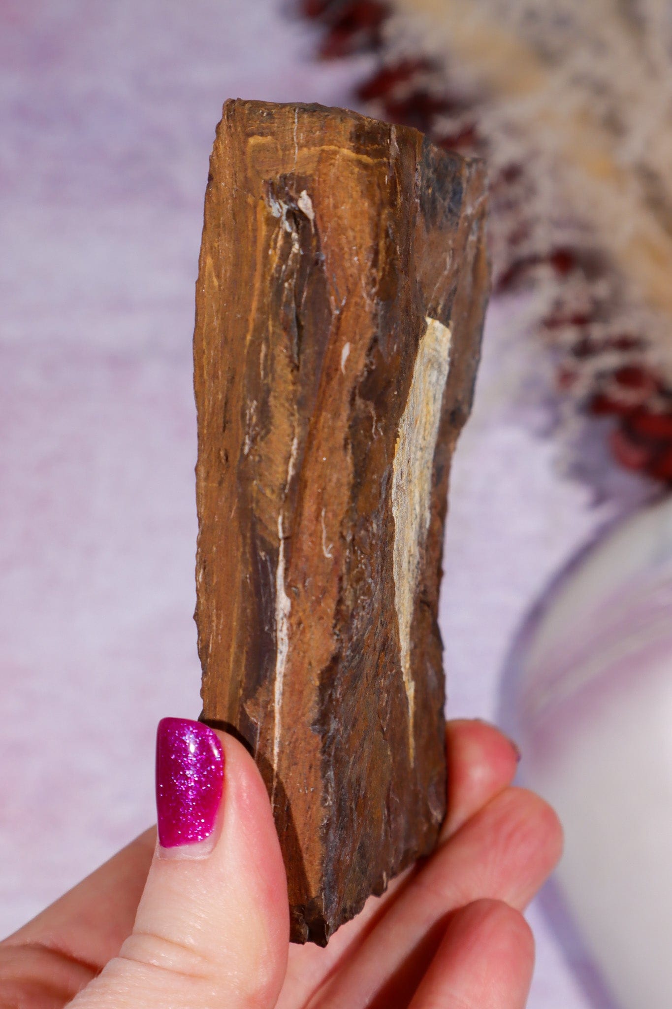 Ginkgo Leaf Fossil 10cm, North Dakota Fossil Tali & Loz Crystals