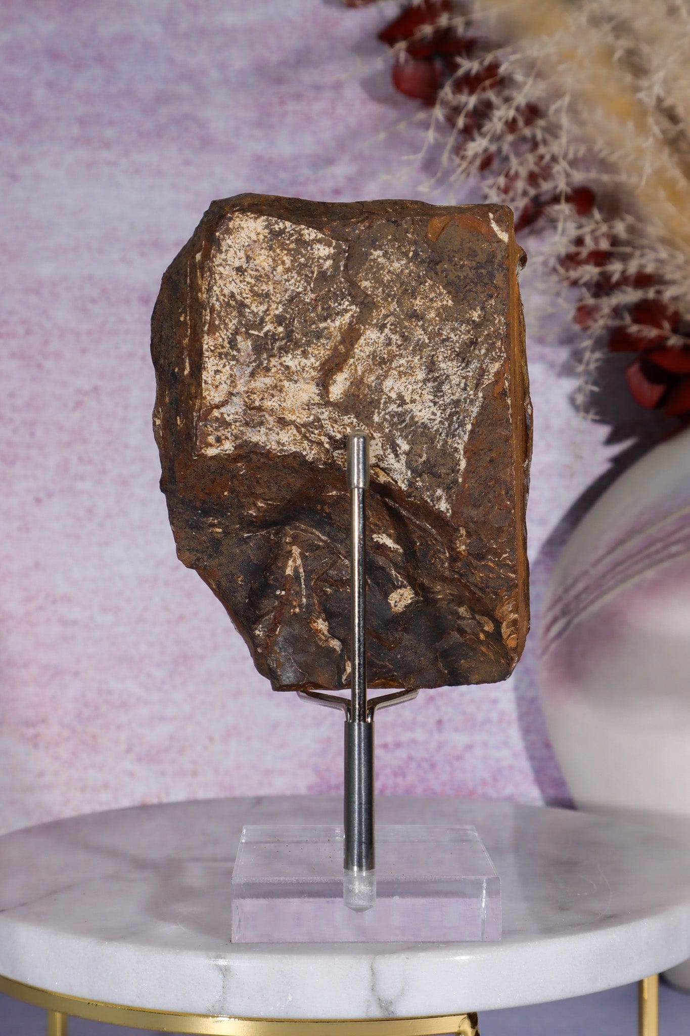 Ginkgo Leaf Fossil 10cm, North Dakota Fossil Tali & Loz Crystals