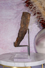 Ginkgo Leaf Fossil 10cm, North Dakota Fossil Tali & Loz Crystals