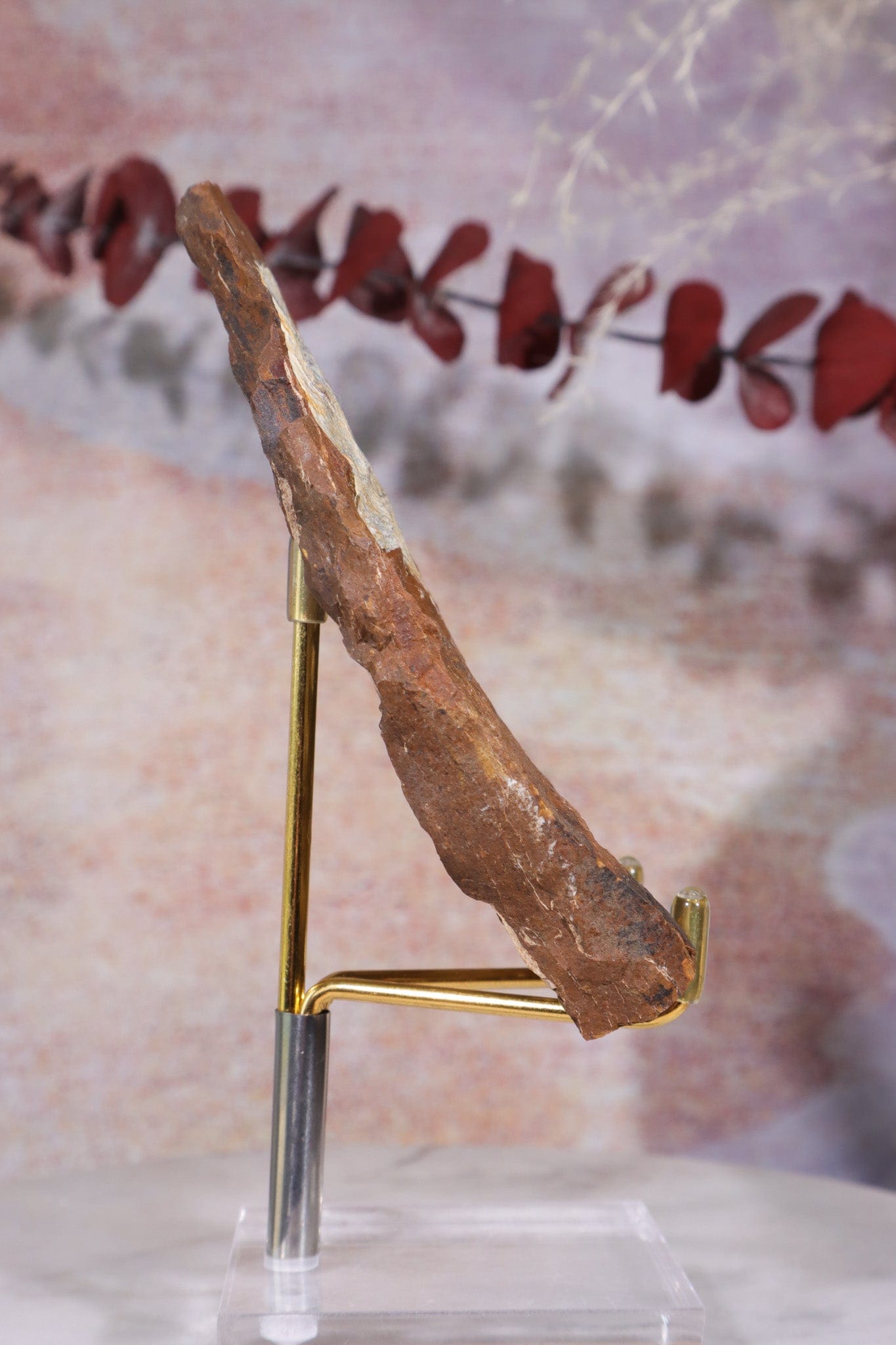 Ginkgo Leaf Fossil 10x7cm, Sold As Seen Fossil Tali & Loz Crystals