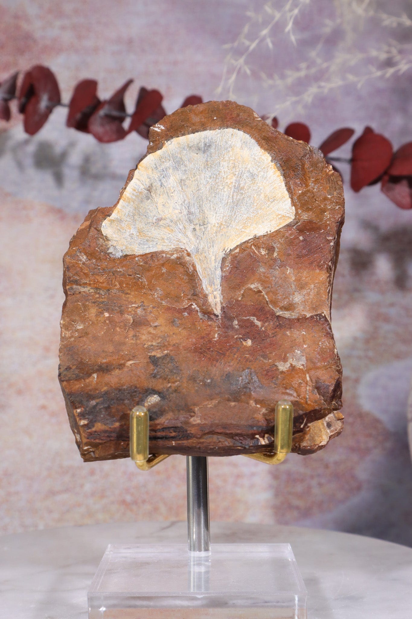 Ginkgo Leaf Fossil 10x7cm, Sold As Seen Fossil Tali & Loz Crystals