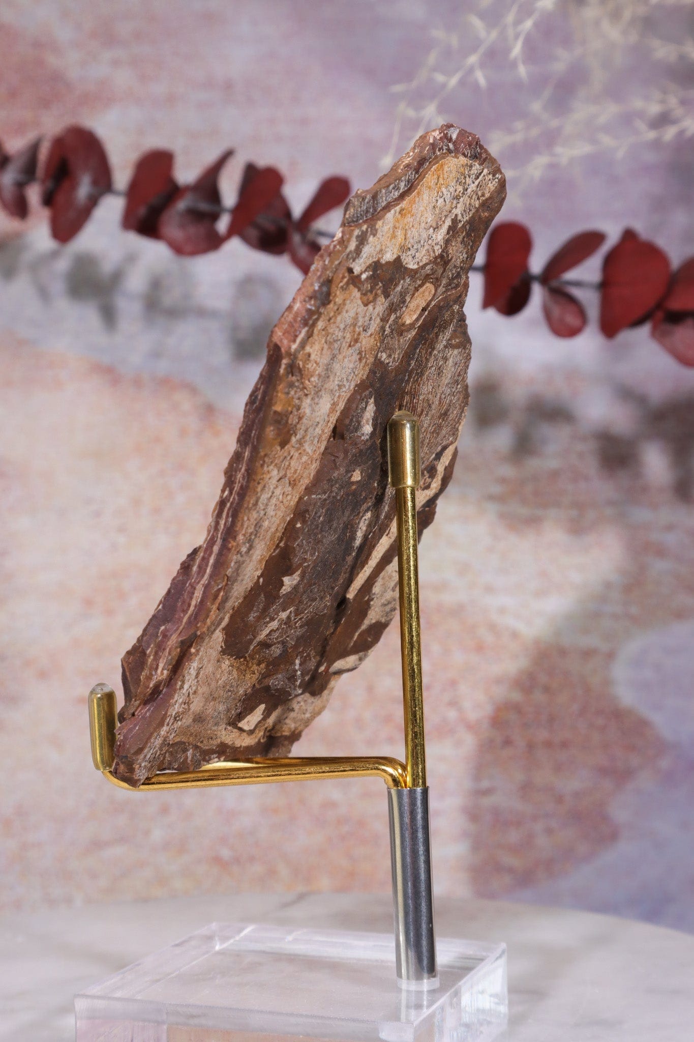 Ginkgo Leaf Fossil 10x7cm, Sold As Seen Fossil Tali & Loz Crystals