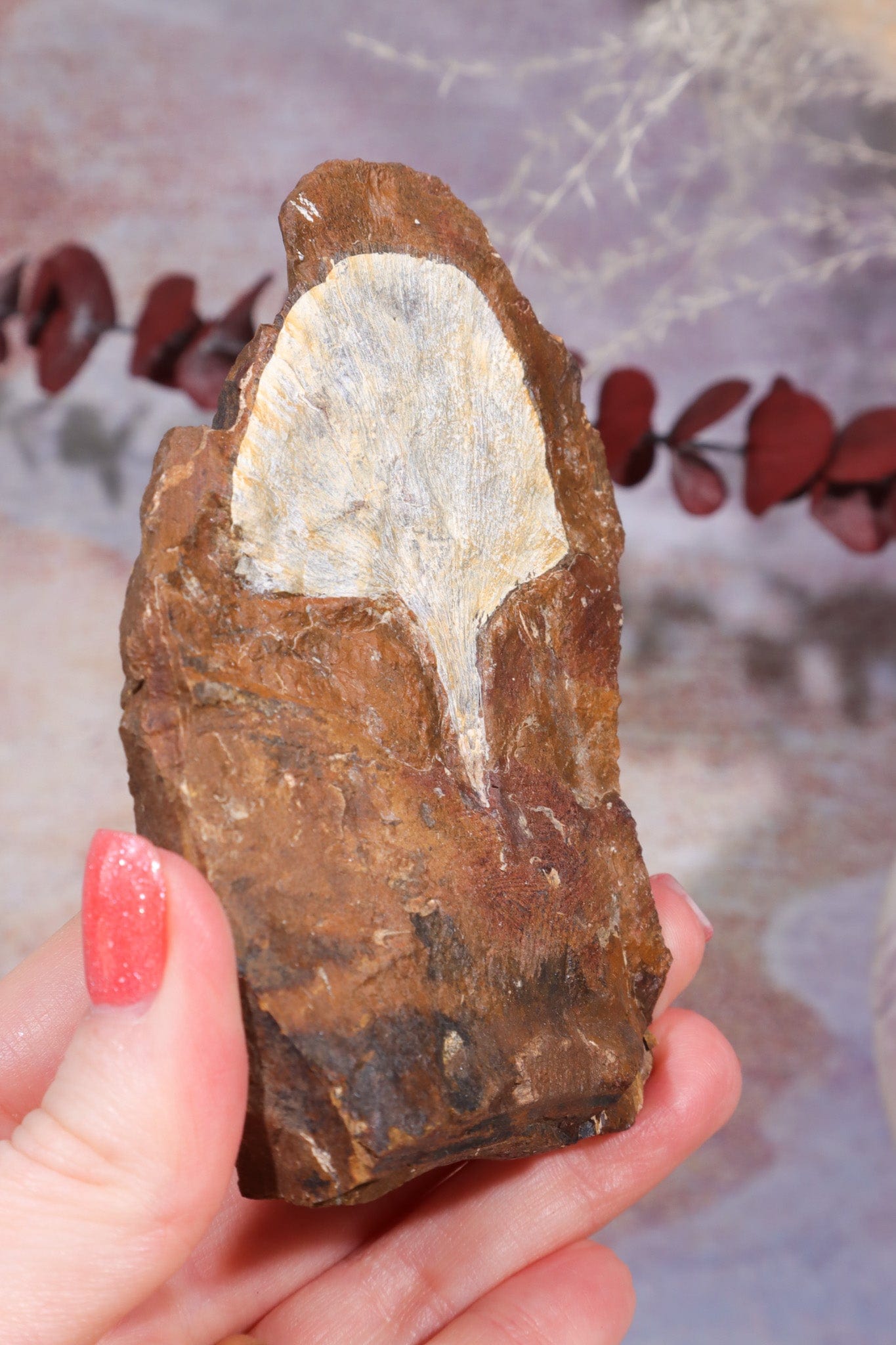 Ginkgo Leaf Fossil 10x7cm, Sold As Seen Fossil Tali & Loz Crystals