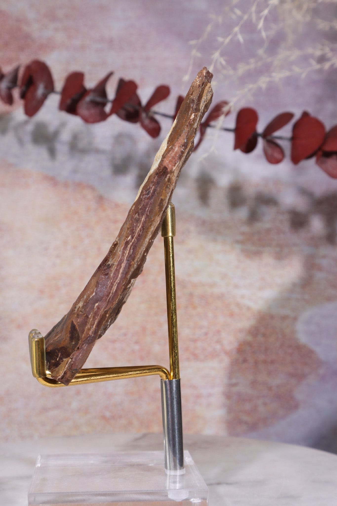 Ginkgo Leaf Fossil 10x7cm, Sold As Seen Fossil Tali & Loz Crystals