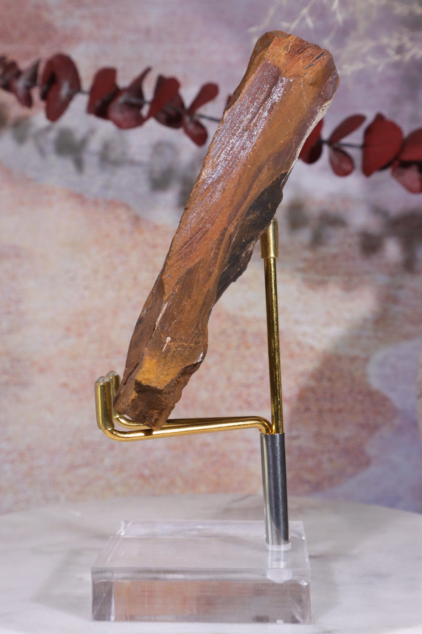 Ginkgo Leaf Fossil 8x9.5xcm, Sold As Seen Fossil Tali & Loz Crystals