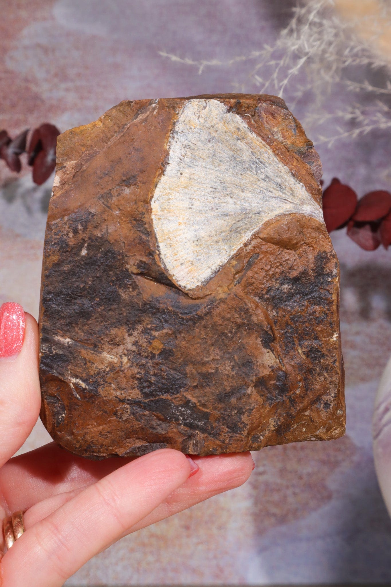 Ginkgo Leaf Fossil 8x9.5xcm, Sold As Seen Fossil Tali & Loz Crystals