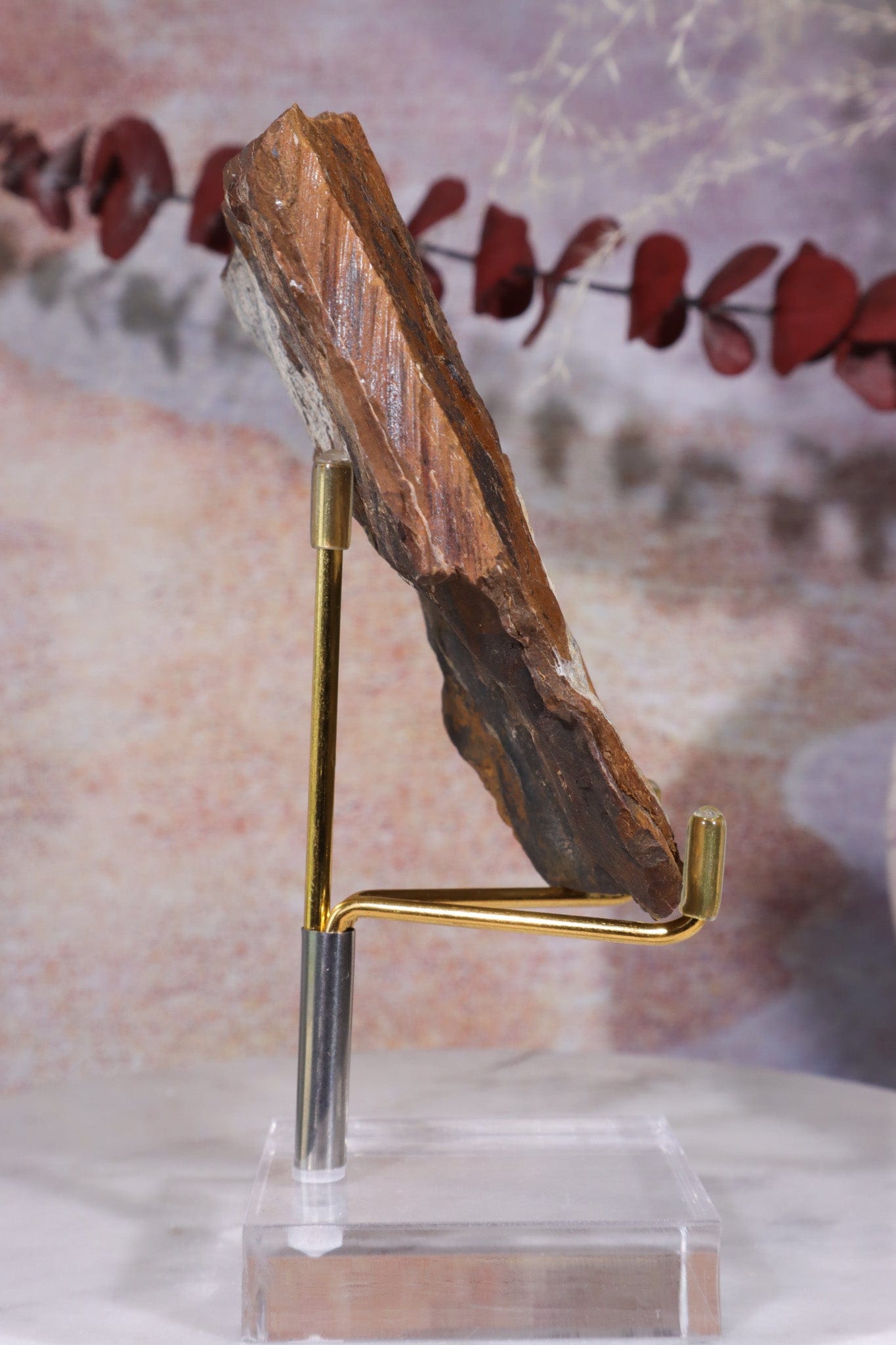 Ginkgo Leaf Fossil 8x9.5xcm, Sold As Seen Fossil Tali & Loz Crystals