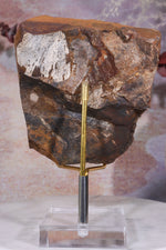 Ginkgo Leaf Fossil 8x9.5xcm, Sold As Seen Fossil Tali & Loz Crystals