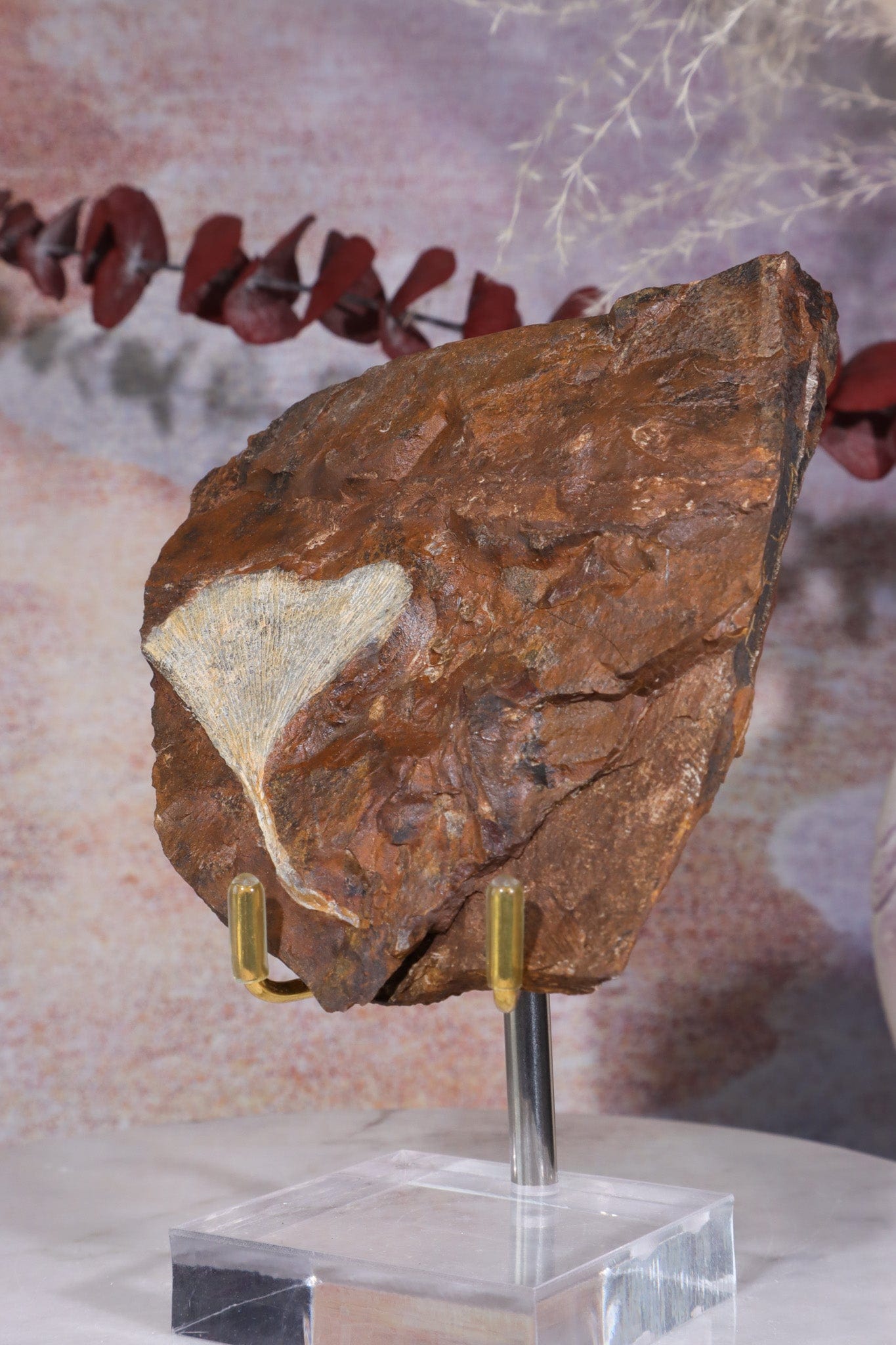 Ginkgo Leaf Fossil 9x9.5xcm, Sold As Seen Fossil Tali & Loz Crystals