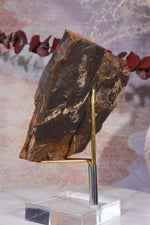 Ginkgo Leaf Fossil 9x9.5xcm, Sold As Seen Fossil Tali & Loz Crystals