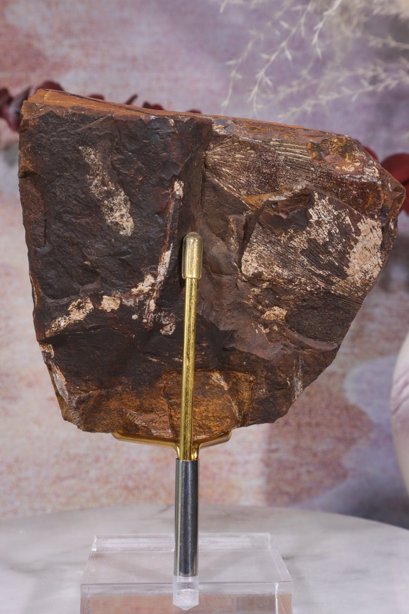 Ginkgo Leaf Fossil 9x9.5xcm, Sold As Seen Fossil Tali & Loz Crystals