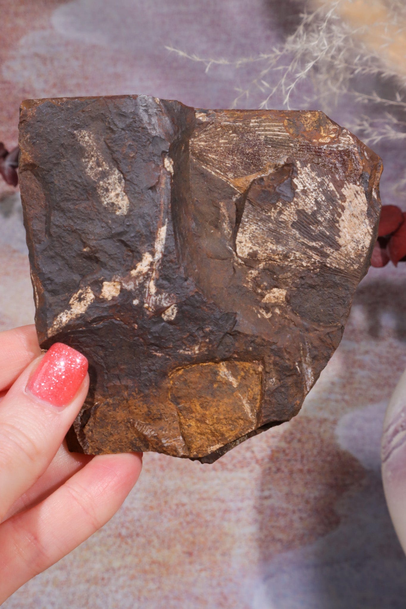 Ginkgo Leaf Fossil 9x9.5xcm, Sold As Seen Fossil Tali & Loz Crystals