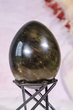 Gold Sheen Obsidian Egg | 6.2cm | Mexico Eggs Tali & Loz Crystals