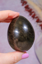 Gold Sheen Obsidian Egg | 6.2cm | Mexico Eggs Tali & Loz Crystals