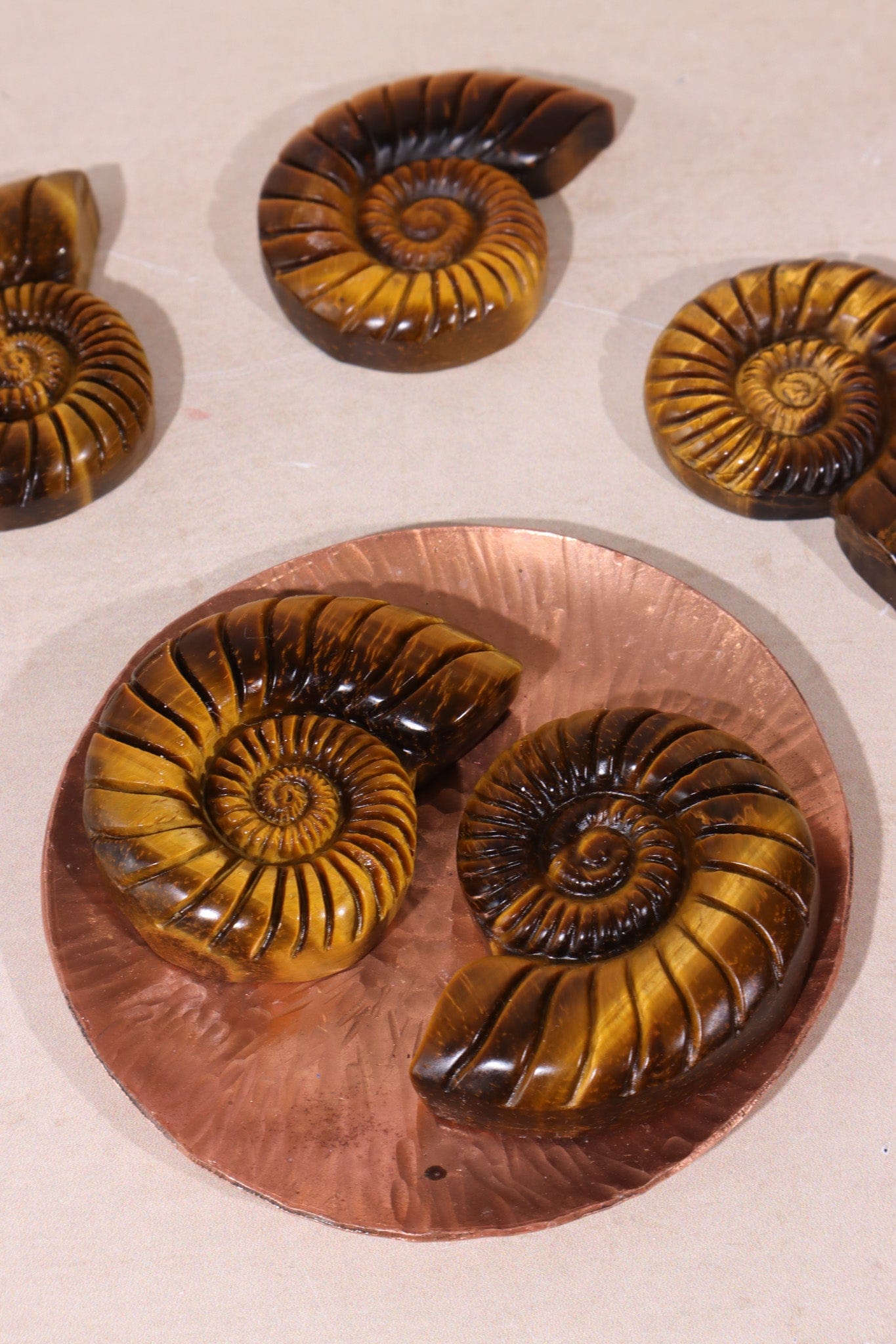 Golden Tigers Eye Ammonites | Intuitively Chosen Carving Tali & Loz