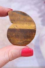 Golden Tigers Eye Ammonites | Intuitively Chosen Carving Tali & Loz