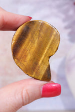 Golden Tigers Eye Ammonites | Intuitively Chosen Carving Tali & Loz