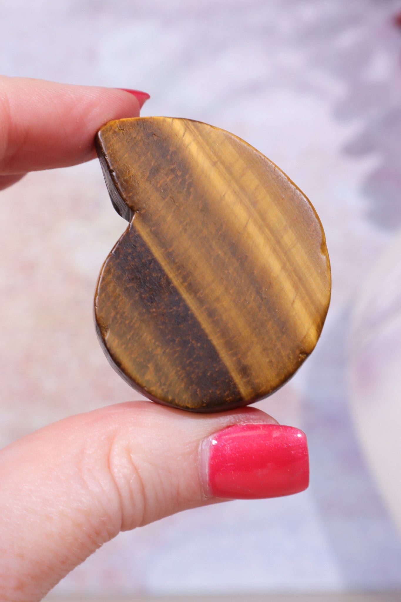 Golden Tigers Eye Ammonites | Intuitively Chosen Carving Tali & Loz