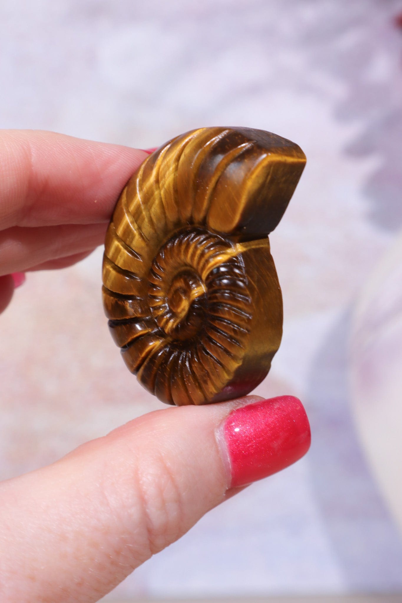 Golden Tigers Eye Ammonites | Intuitively Chosen Carving Tali & Loz
