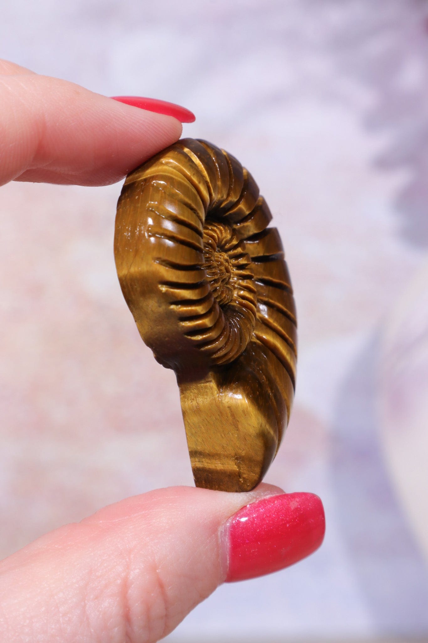 Golden Tigers Eye Ammonites | Intuitively Chosen Carving Tali & Loz