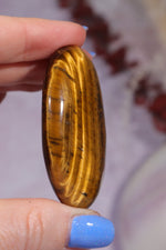 Golden Tigers Eye Palmstone 5.5cm Palm Stones Tali & Loz Crystals