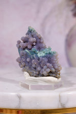 Grape Agate Specimen | 3.5cm | Indonesia (Copy) Minerals Tali & Loz Crystals