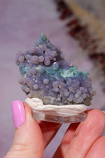 Grape Agate Specimen | 3.5cm | Indonesia (Copy) Minerals Tali & Loz Crystals