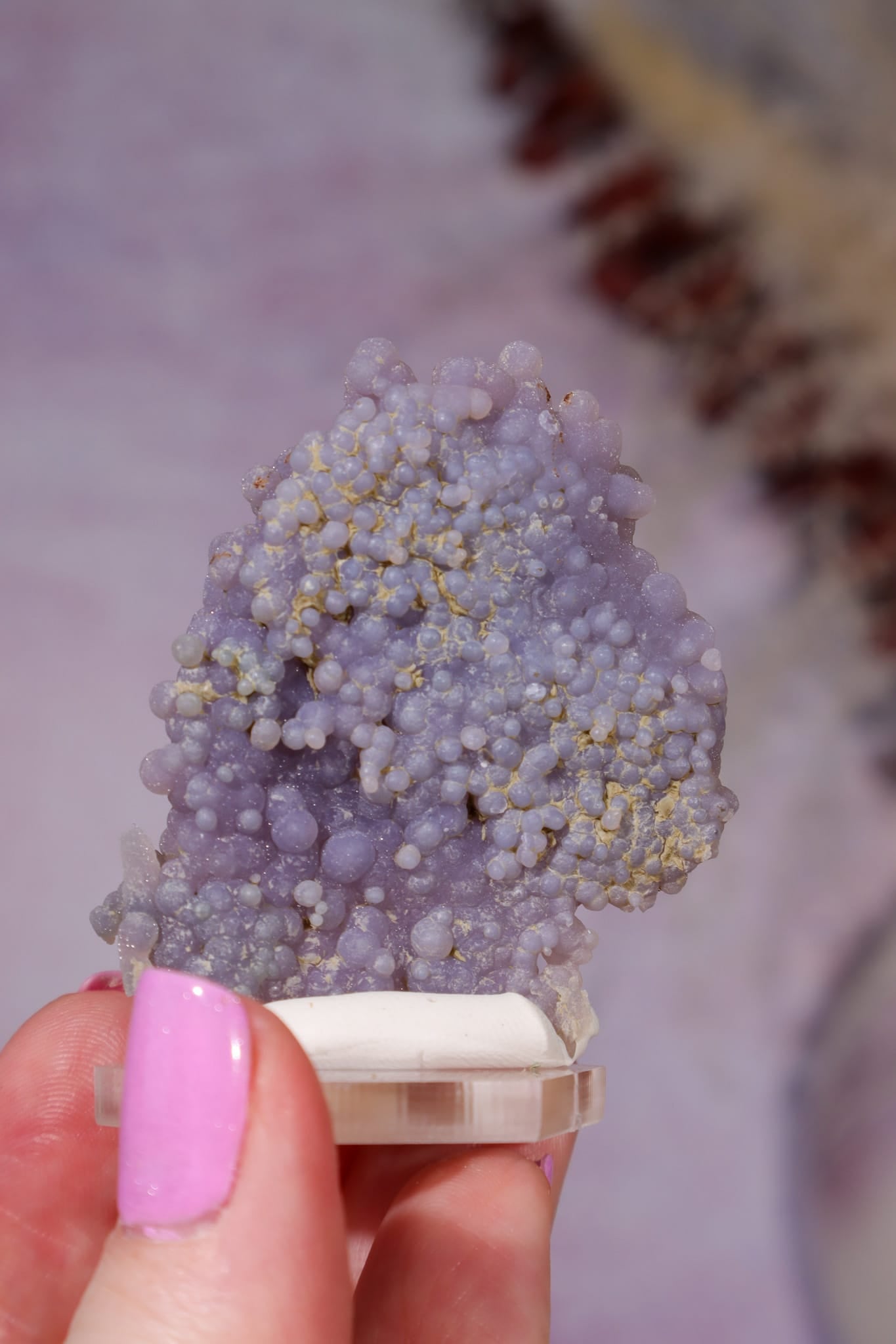 Grape Agate Specimen | 4.5cm | Indonesia Minerals Tali & Loz Crystals