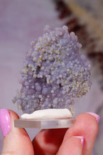 Grape Agate Specimen | 4.5cm | Indonesia Minerals Tali & Loz Crystals