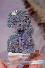 Grape Agate Specimen | 6.5cm | Indonesia Minerals Tali & Loz Crystals