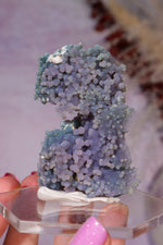 Grape Agate Specimen | 6.5cm | Indonesia Minerals Tali & Loz Crystals