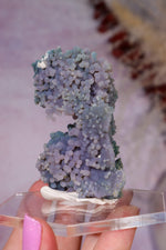 Grape Agate Specimen | 6.5cm | Indonesia Minerals Tali & Loz Crystals