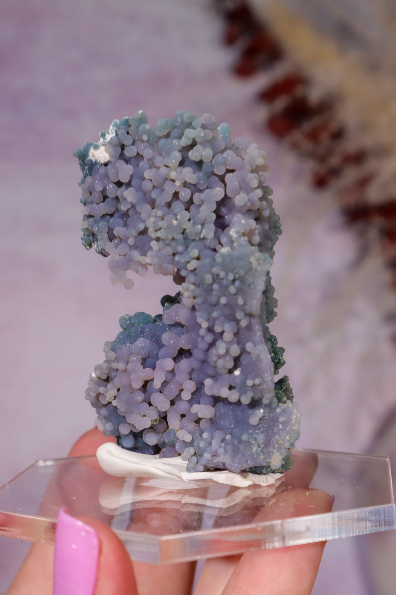 Grape Agate Specimen | 6.5cm | Indonesia Minerals Tali & Loz Crystals