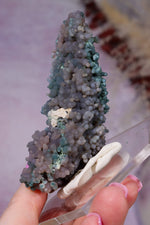 Grape Agate Specimen | 8.5cm | Indonesia Minerals Tali & Loz Crystals