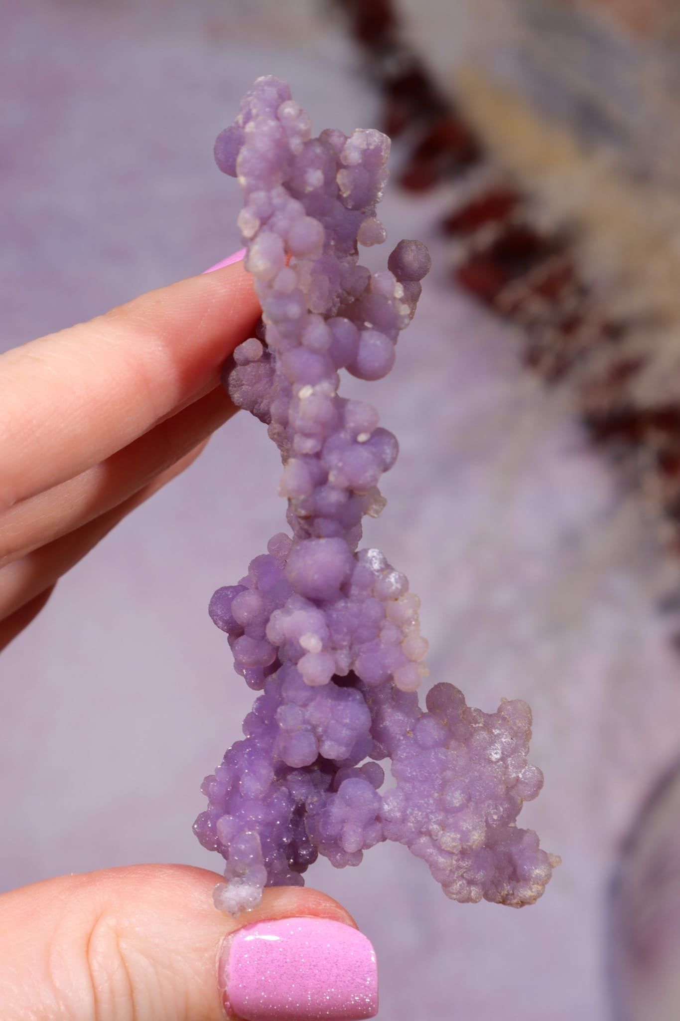 Grape Agate Specimen | 8cm | Indonesia Minerals Tali & Loz Crystals