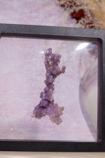 Grape Agate Specimen | 8cm | Indonesia Minerals Tali & Loz Crystals