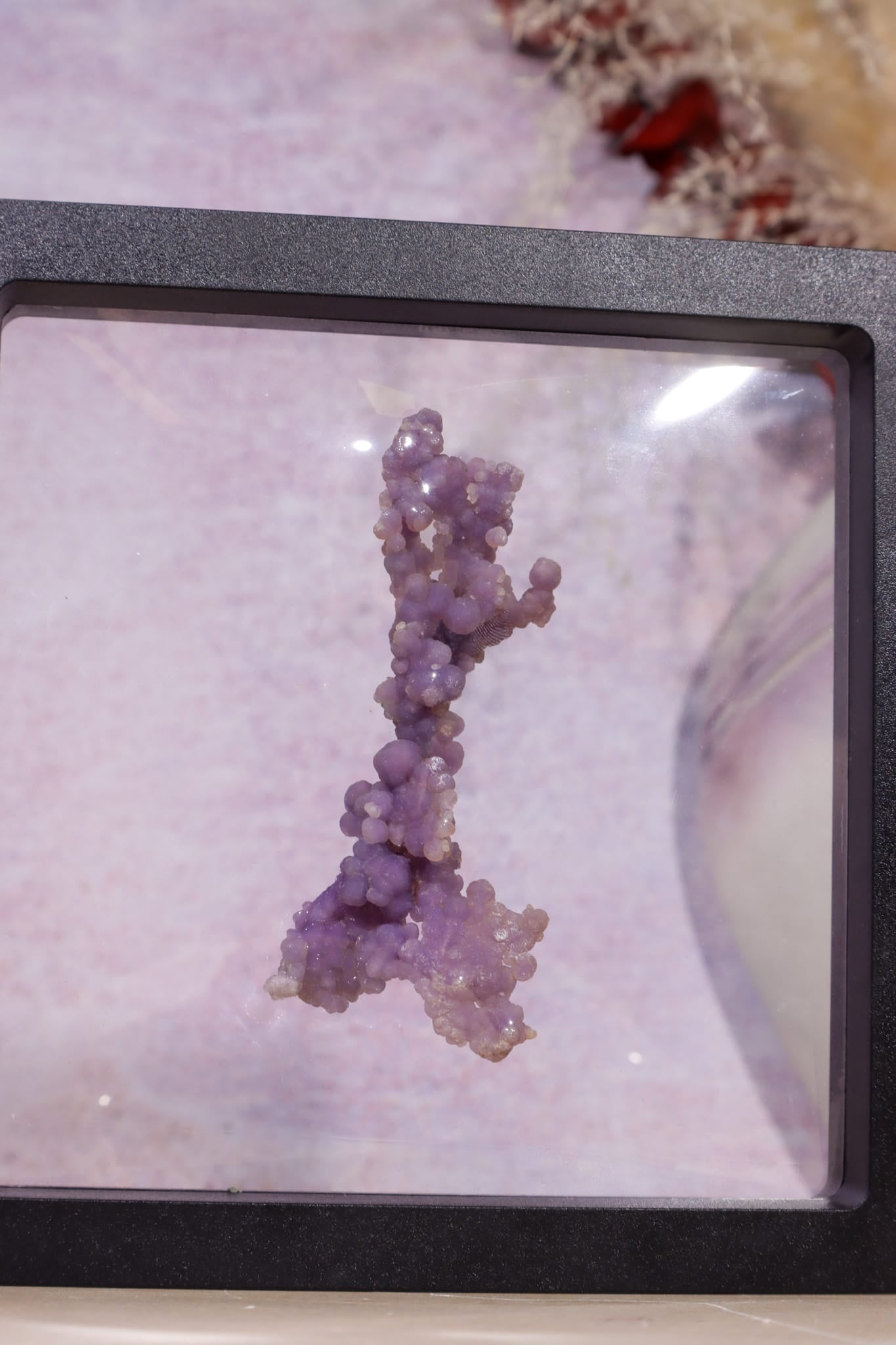 Grape Agate Specimen | 8cm | Indonesia Minerals Tali & Loz Crystals