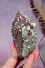 Green Apophyllite Specimen | 9cm | India Specimen Tali & Loz Crystals