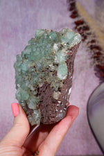 Green Apophyllite Specimen | 9cm | India Specimen Tali & Loz Crystals