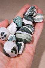 Green Sardonyx Tumblestones | 15-25mm | India Tumblestones Tali & Loz Crystals